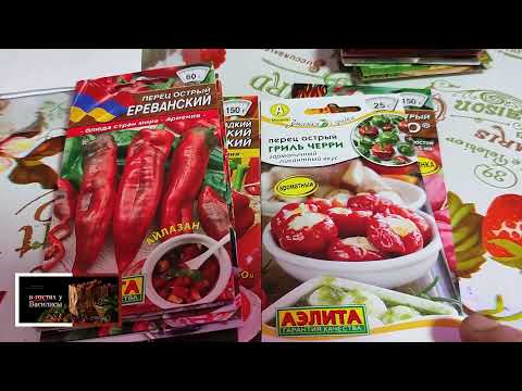 Видео: ОБЗОР ПОСЫЛКИ С СЕМЕНАМИ 📬  ИНТЕРНЕТ МАГАЗИН 💥💥💥 АЭЛИТА ☕☕☕🥒🌶️🌽🥕🌱🧅🍅🍠💥