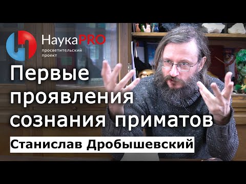 Видео: Первые проявления сознания приматов – Станислав Дробышевский | Лекции по антропологии | Научпоп