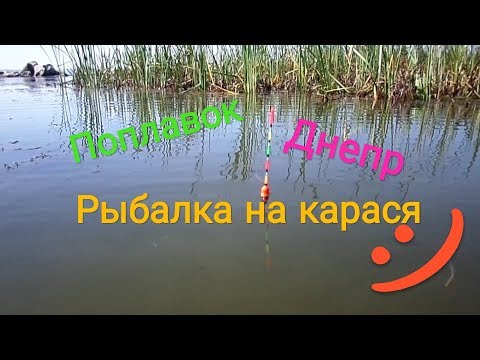 Видео: КАРАСЬ НА ПОПЛАВОК. ДНЕПР