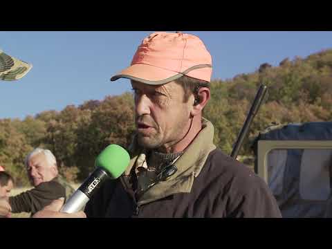 Видео: За диви прасета в Елшица