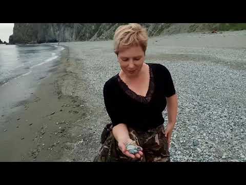 Видео: Ольгинский район. Мыс Четырех скал