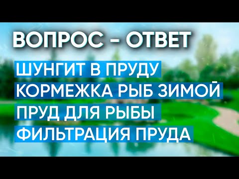 Видео: Будет ли полезен шунгит в пруду? Надо ли кормить рыбу зимой? особенности по уходу за прудом для рыбы