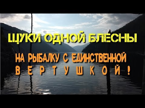 Видео: На рыбалку с единственной вертушкой! Секретов нет!