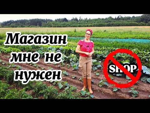 Видео: Летом,чтобы очень вкусно и полезно поесть,нам не надо идти в магазин !