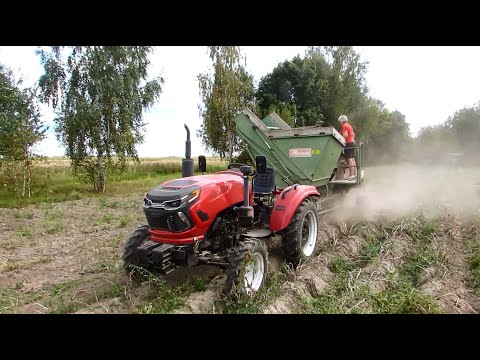 Видео: Rossel и Hassia копаем картофель.
