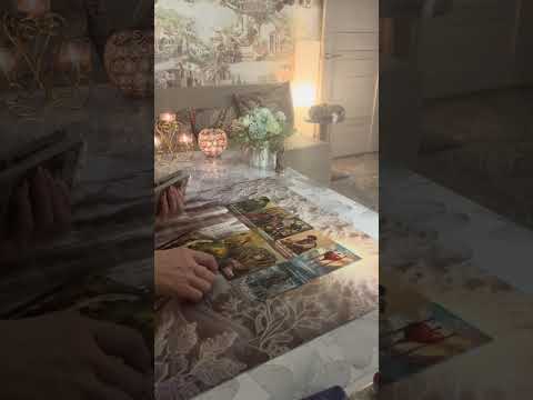 Видео: Пришла соперница пожаловаться….