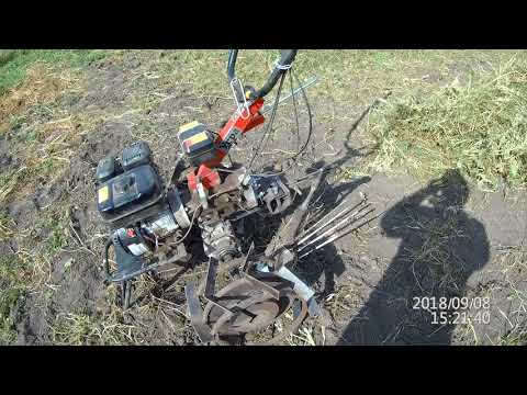 Видео: Копка картофеля мотоблоком Угра НМБ 1Н 2018 Часть 1