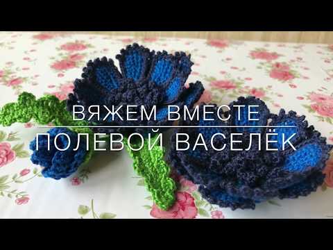 Видео: 😍Мастер класс 😍 полевой василёк 🦋🦋 в технике туниской вязки. Crochet flower pattern