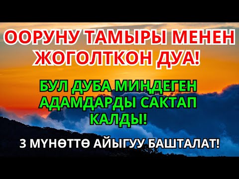 Видео: Пайгамбардын дубасы заматта айыктырып, ооруну жок кылат