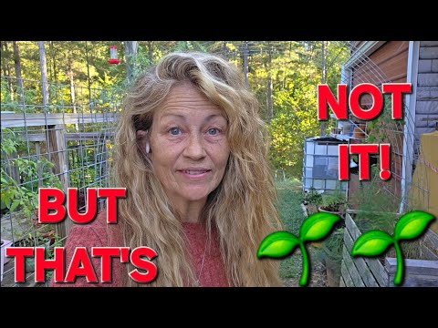 Видео: НЕКОТОРЫЕ УЖЕ РАСПРОСТРАНЕНЫ, НО НЕ ЗАВЕРШЕНЫ! #СЕМЕНАВЫЖИВАНИЯ2025 @LAZYDAYZAHEAD @vineyardchick...