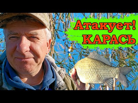 Видео: Карась атакует! Озеро раздаёт рыбу! Пучок червей - рулит!