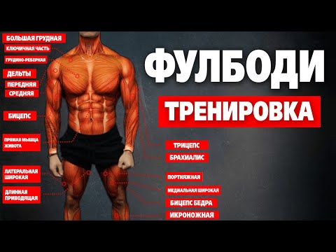 Видео: Лучшая ФУЛБОДИ программа тренировок для НАБОРА МАССЫ (тренировка «B»)