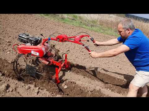 Видео: Мотоблок Салют 100. Посадка картофеля