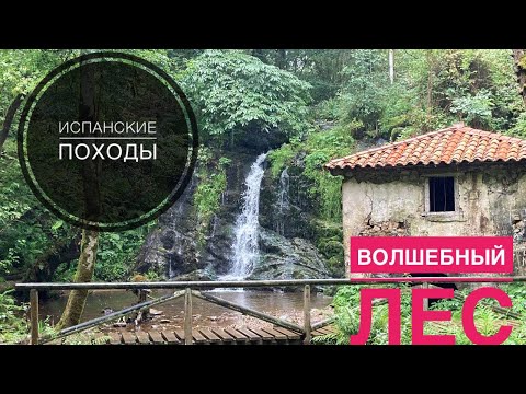 Видео: # 231 Испанские Походы. Волшебный Лес. Ruta Los Molinos 2021. Север Испании. Путешествия И Походы
