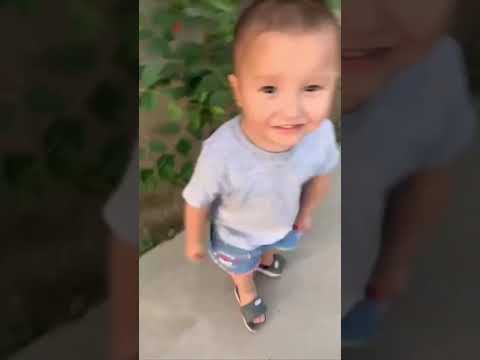 Видео: Топ самых смешных видео