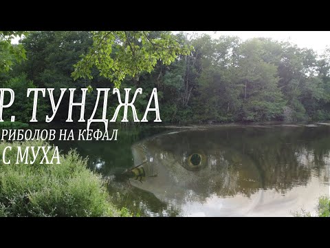 Видео: Епизод 4. Риболов на КЕФАЛ с муха по р.Тунджа. /Ep 4 Fly fishing for Chub on the Tundzha river/