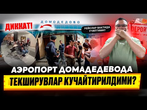 Видео: АЭРОПОРТ ДОМАДЕДЕВО @TOMOSHATVN1 