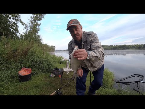 Видео: Рыбалка с ночевкой в палатке. Яузское водохранилище.
