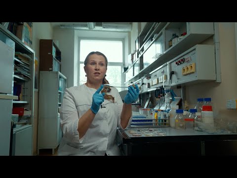 Видео: Выпуск #87 "Технологии сохранения льна, биоразлагаемые полимеры и дроны в строительстве"