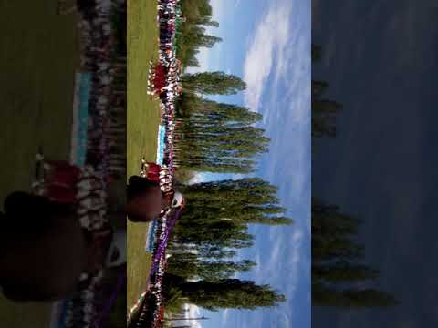 Видео: М.Козубекова атындағы орто мектепби 2001 жылкылар😍😍😍😍