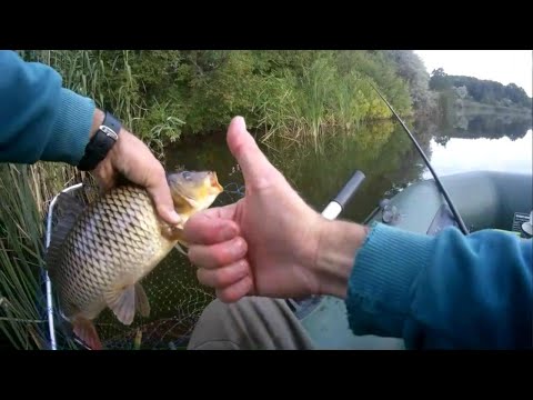 Видео: Карп на боковой кивок с лодки.Рыбалка на ставке Часть1