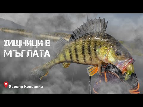 Видео: РИБОЛОВ НА ХИЩНИЦИ В СУТРЕШНА МЪГЛА. ЯЗОВИР КОПРИНКА