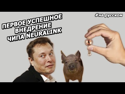 Видео: Илон Маск: презентация нового ЧИПА для мозга NEURALINK |2020|