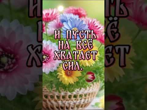 Видео: Доброе утро! Красивоепожелание#видео#красиваямузыка#shorts