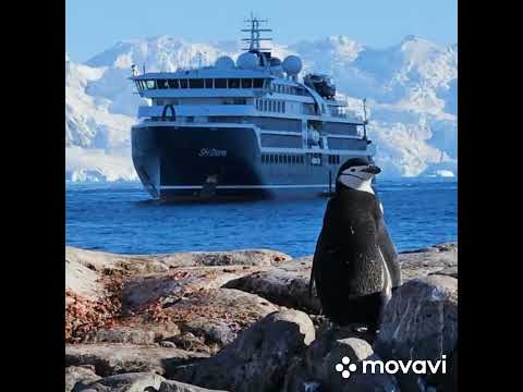 Видео: Премьера песни Слова Вейг И.С.,музыка ИИ