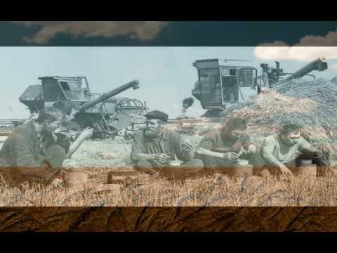 Видео: Боровской. Мендыкаринский район. Кустанайская область