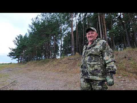 Видео: Летний сезон рыбалки на Енисее  2025.