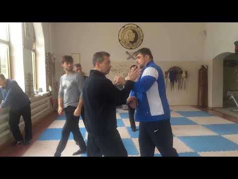 Видео: День 4.7. Фа-ли и фа-дзи.