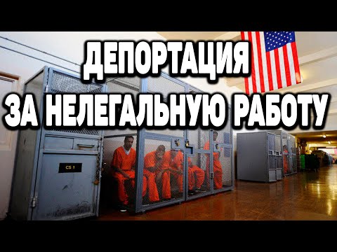 Видео: Депортация из США за нелегальную работу на пикап траках