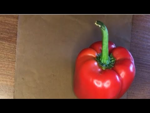 Видео: СІЮ ПЕРЕЦЬ НА РОЗСАДУ ДВОМА СПОСОБАМИ В РАВЛИК І В ТЕПЛИЧКУ НАСІННЯ СВІЖОЗІБРАНЕ І КУПОВАНЕ