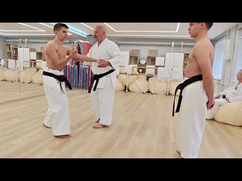 Видео: Стойка санчин5