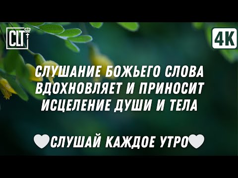 Видео: Божье Слово восстанавливает ваше здоровье | Библия утром | Relaxing