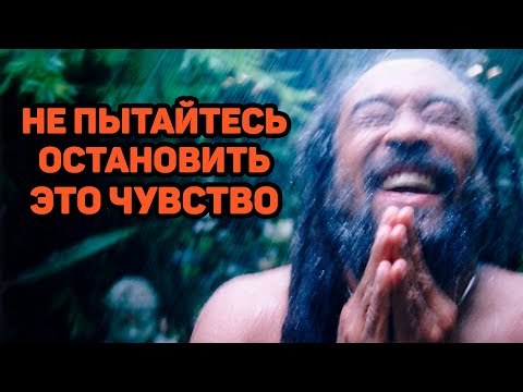 Видео: Как негативные эмоции могут помочь обнаружить Себя? Муджи