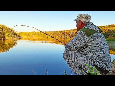 Видео: РЫБАЛКА С НОЧЁВКОЙ. НЕ ЗРЯ ПОЕХАЛ В ЭТО МЕСТО.