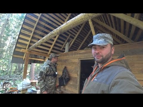 Видео: Окунёвый клондайк на спиннинг/ Клёв как по заказу