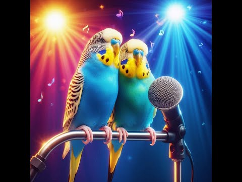 Видео: 30 хвилин мелодійного співу для ваших папуг. Half an hour of parrots singing