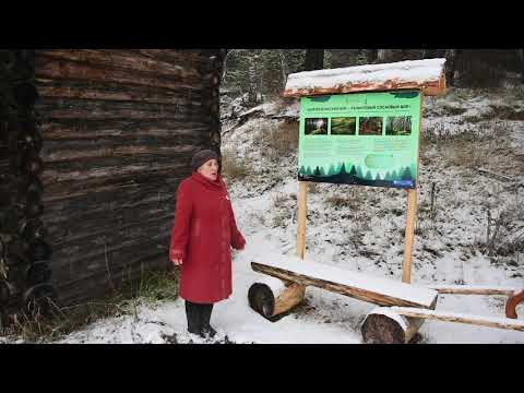 Видео: Екатерининская тропа. История местности