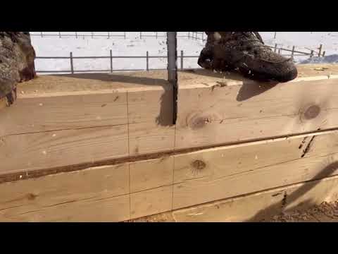 Видео: Архыып 2023 сыл, былырыын саас уһуллубут биидьик.