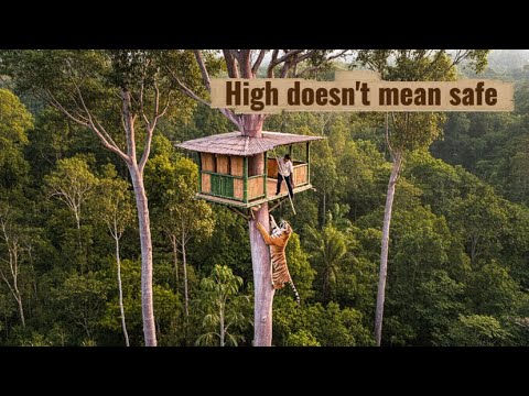 Видео: Вот как он спасся от диких зверей — Survival Alone