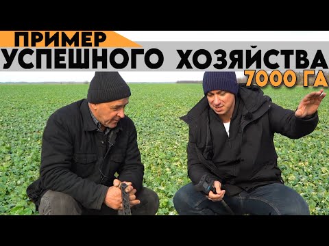 Видео: Озимые рапс, пшеница, ячмень. Тонкости, которые приводят это хозяйство к успеху.