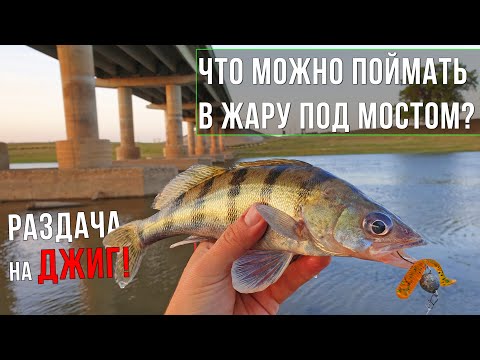 Видео: Где ловить в летнюю жару? Под мостом! / РАЗДАЧА на лёгкий ДЖИГ!!!