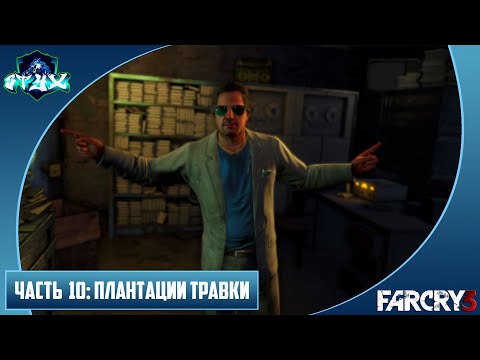 Видео: FAR CRY 3 ПРОХОЖДЕНИЕ➤➤➤НА РУССКОМ➤➤➤ЧАСТЬ 10: ПЛАНТАЦИИ ТРАВКИ