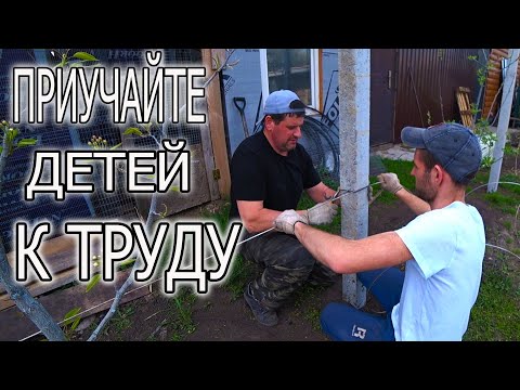 Видео: ШПАЛЕРА ДЛЯ ЯБЛОНИ И ГРУШИ.