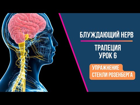 Видео: Упражнение Розенберга и блуждающий нерв