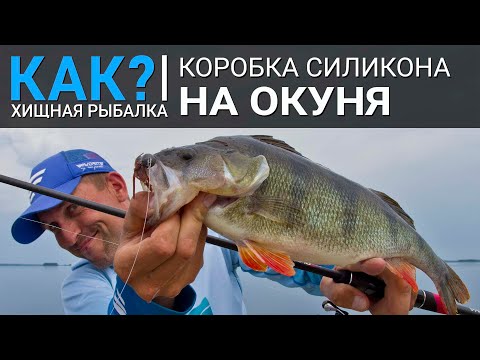 Видео: Как собрать коробку силикона на окуня? Наборы приманок для рыбалки весной, летом, осенью и зимой.