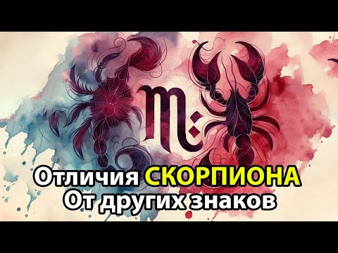 Видео: 13 Отличий СКОРПИОНА от других знаков зодиака.